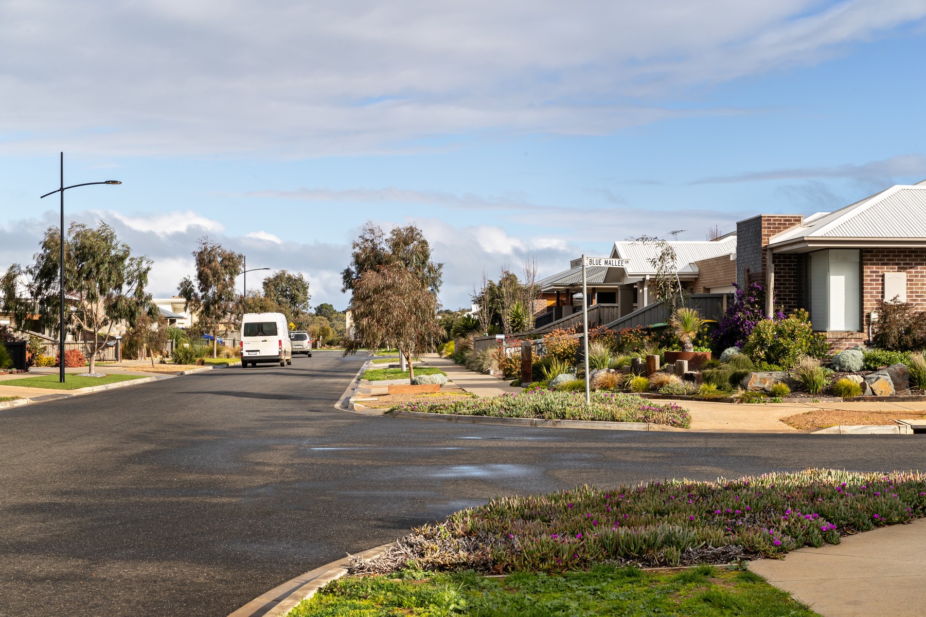 Streetscape of Kingston Downs Estate in Ocean Grove