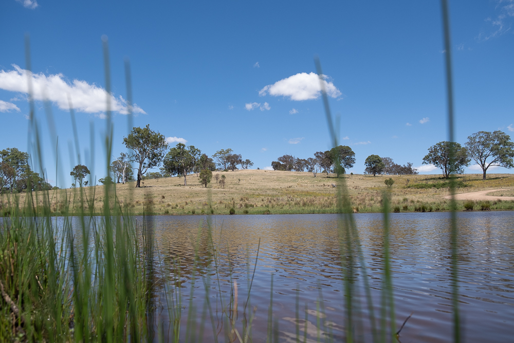 The Yass River, adjacent to the Woodbury Ridge development in Sutton, NSW.