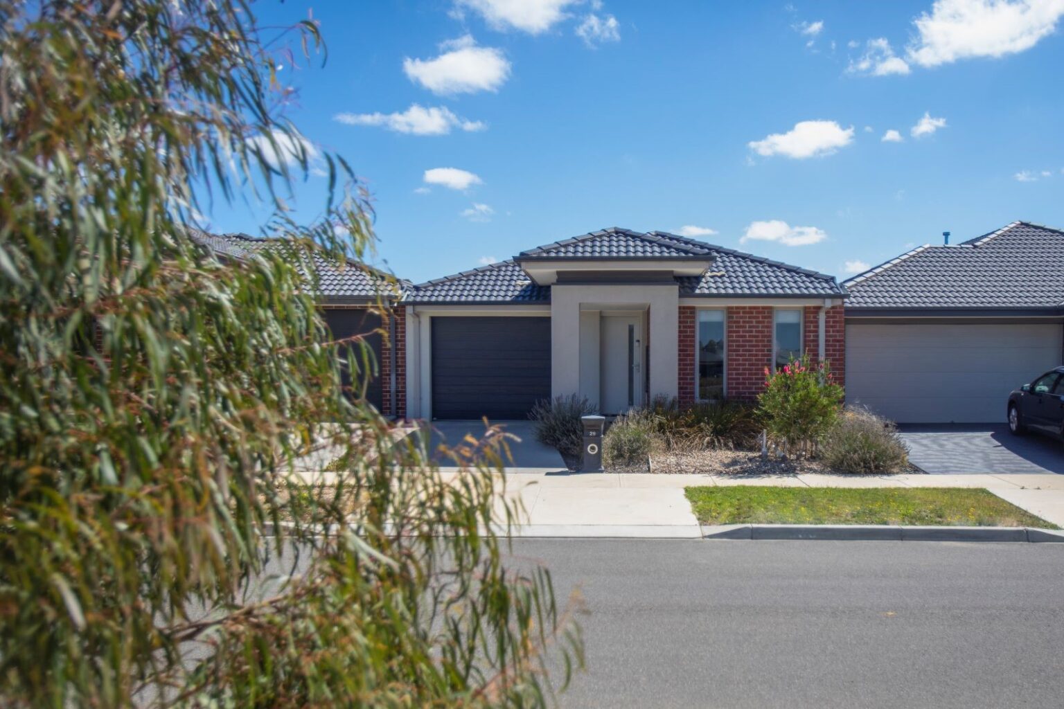 Housing at Spiire Geelong Landscape Architecture project Charlemont Rise