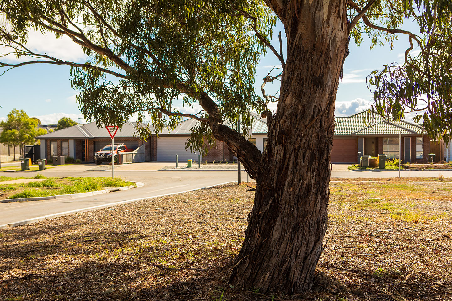 Housing at Spiire Geelong Landscape Architecture project Charlemont Rise