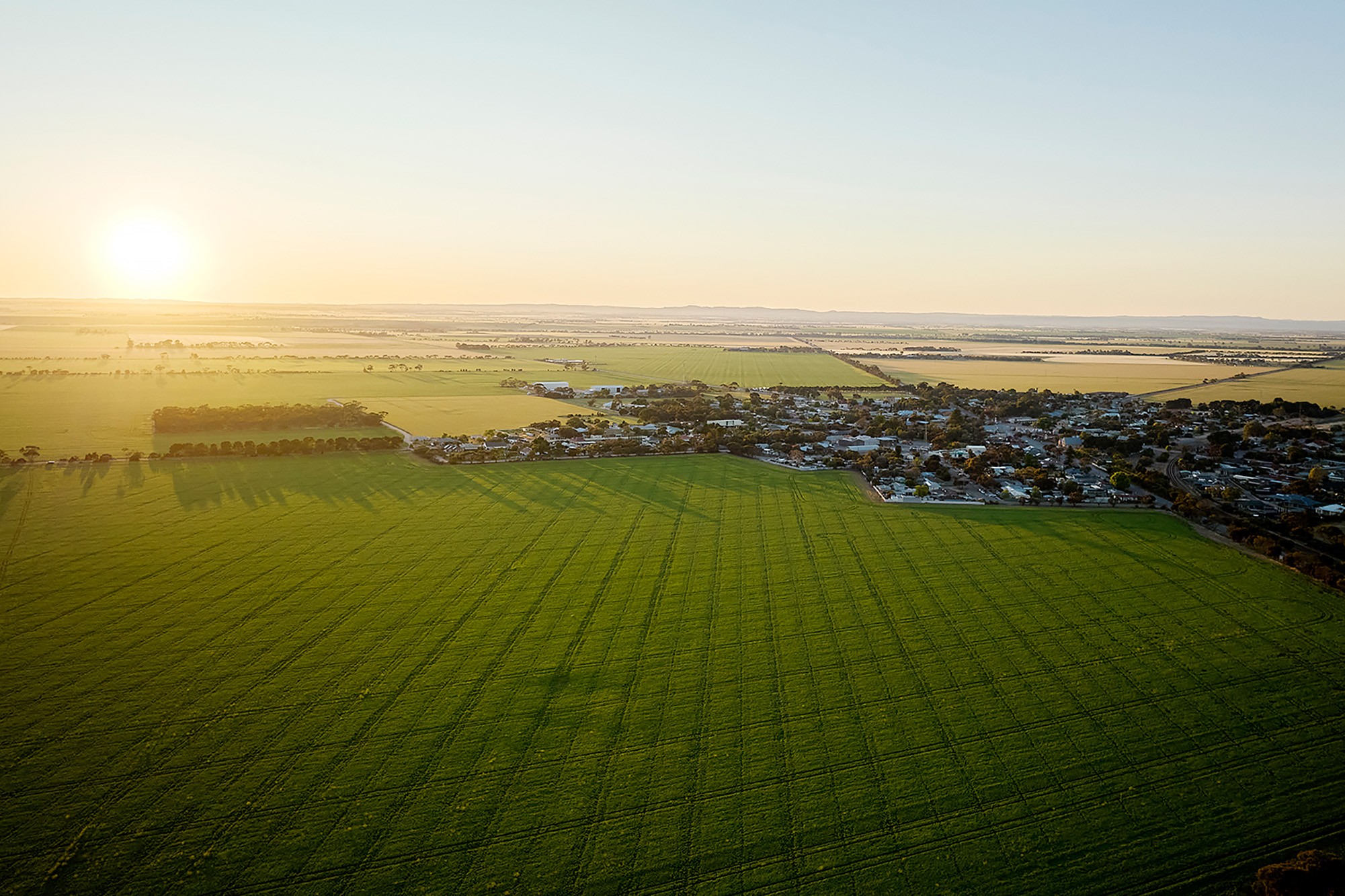 Aerial photography of the Gracewood, Mallala development site in South Australia.