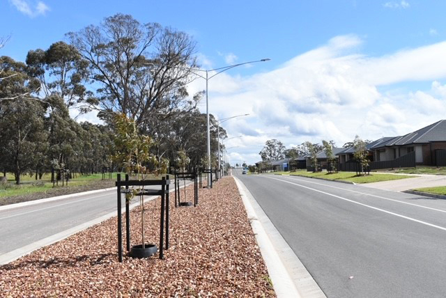 Streetscape at Provenance estate in Bendigo’s Huntly region
