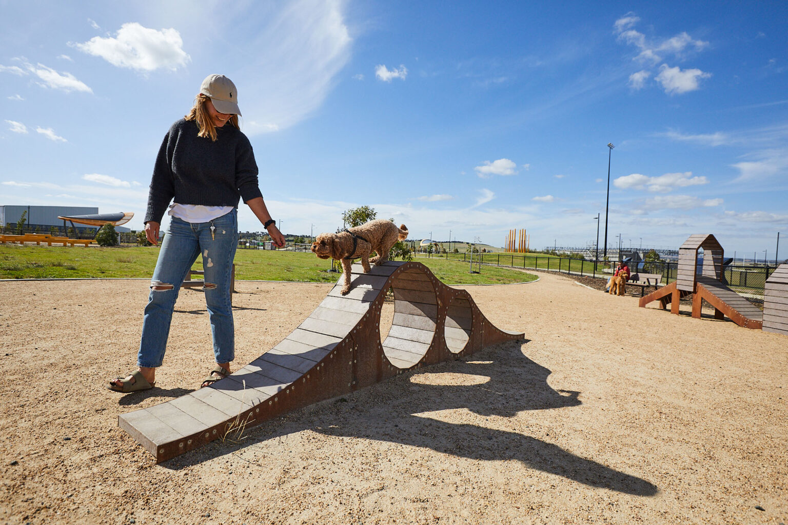 Dog climbing equipment at the dog park in Merrifield Recreation Reserve, designed by Spiire Landscape Architecture team.