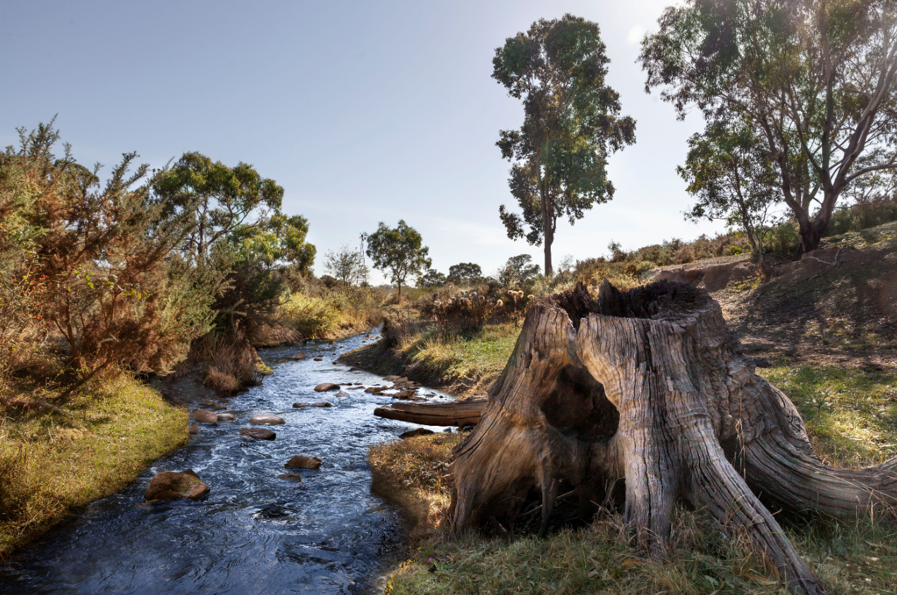 3D render of landscape and water elements at Riverhills estate in Melbourne, created by Spiire Visual Media team.