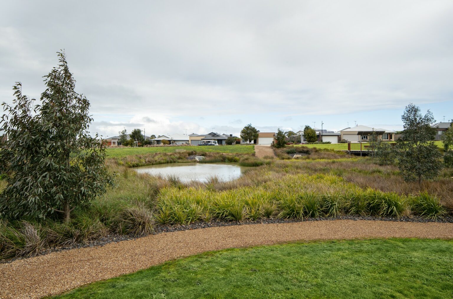 picuresque wetland at Kingston Downs Estate is Ocean Grove