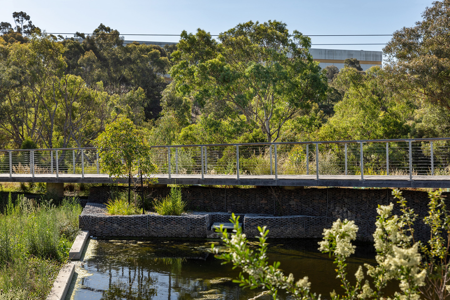 Integrated water management asset at Coburg Hill Estate designed by Spiire water engineering