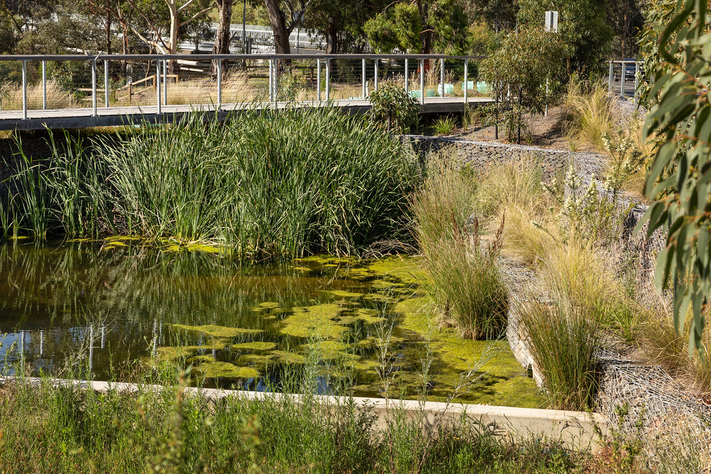 Integrated water management asset at Coburg Hill Estate designed by Spiire water engineering