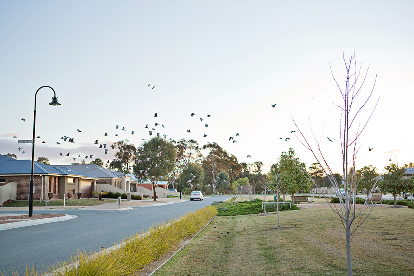 Streetscape at The Boulevard Estate in Shepparton