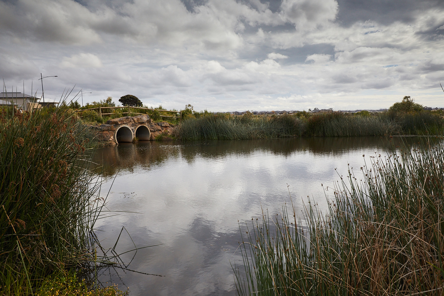 Wetland at Woodlea estate designed by Spiire Water Engineering