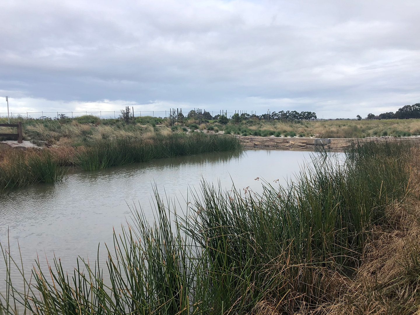 Birds eye view of Lollipop Creek, King's Leigh Estate