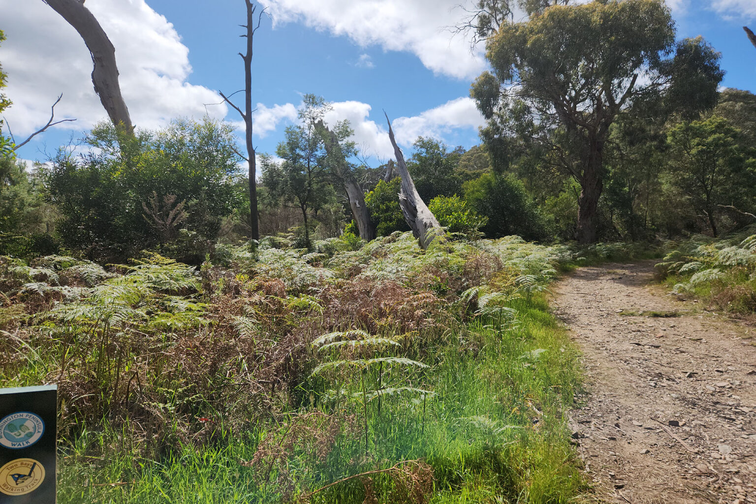 Spiire Gippsland survey project two bays walking trail
