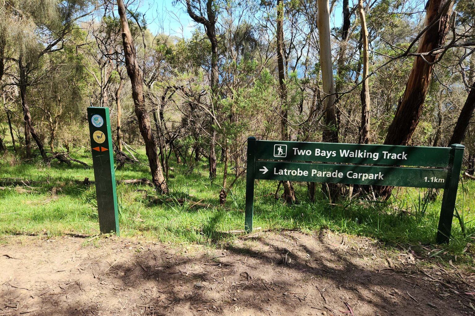 Spiire Gippsland survey project two bays walking trail