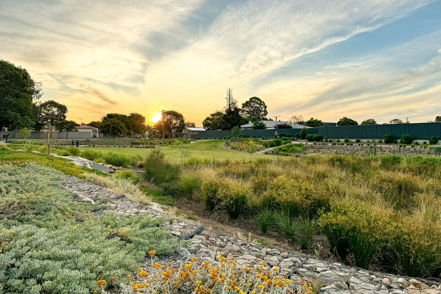 Wetlands at Felixstow Neighbourhood Renewal Basin designed by Spiire Landscape Architects