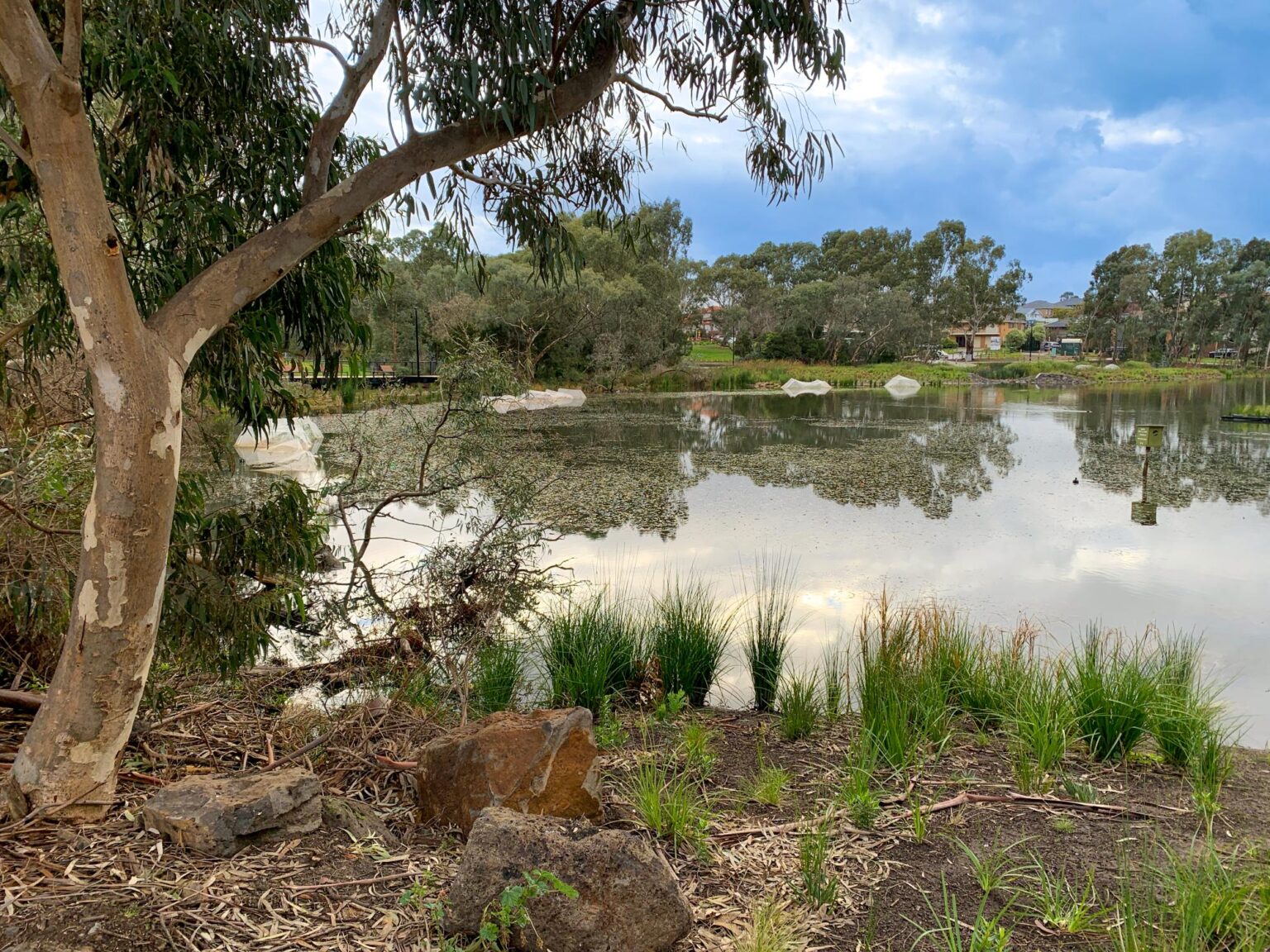 Spiire water engineering project Peter Hopper Lake Revitalisation in Mill Park