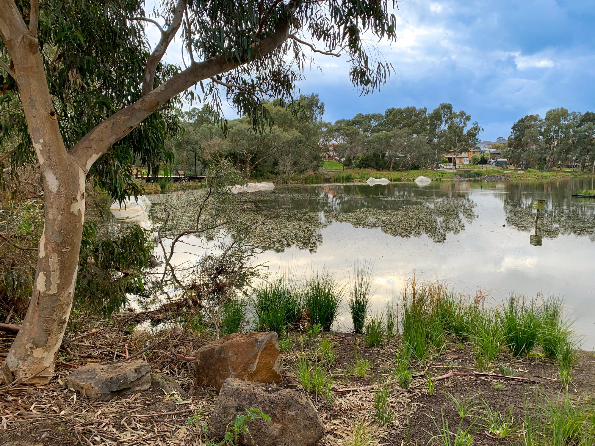 Spiire water engineering project Peter Hopper Lake Revitalisation in Mill Park