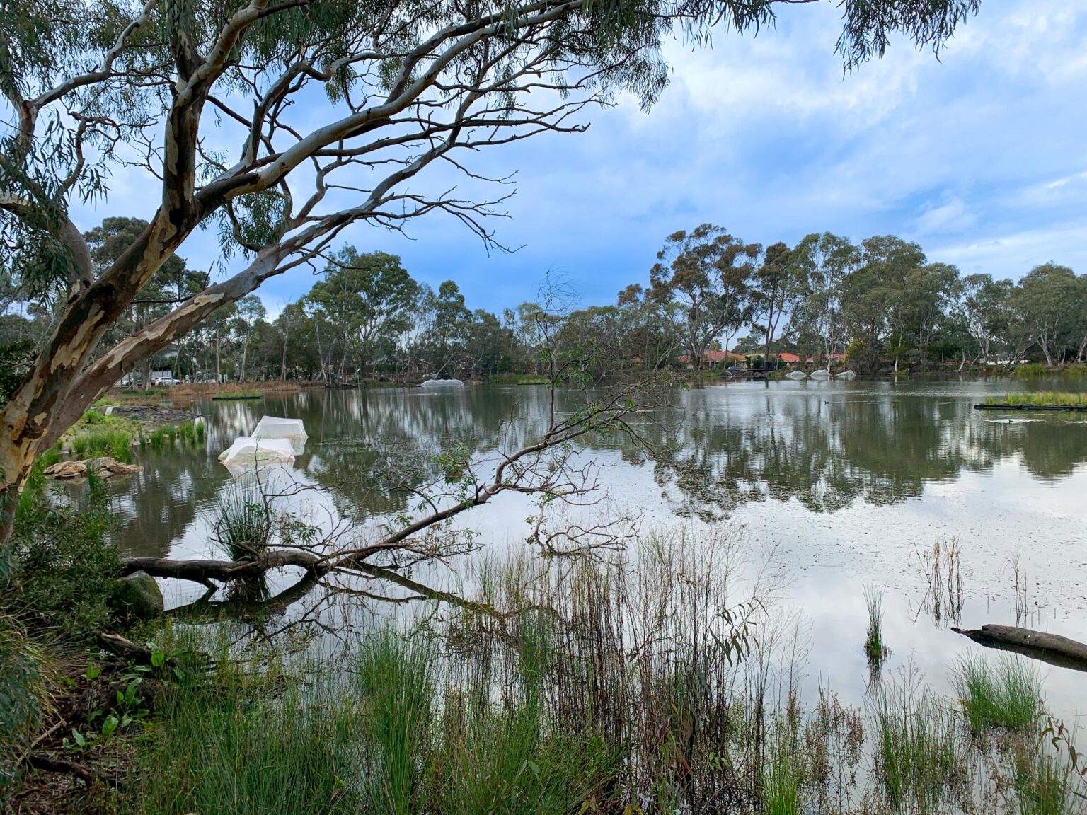 Spiire water engineering project Peter Hopper Lake Revitalisation in Mill Park