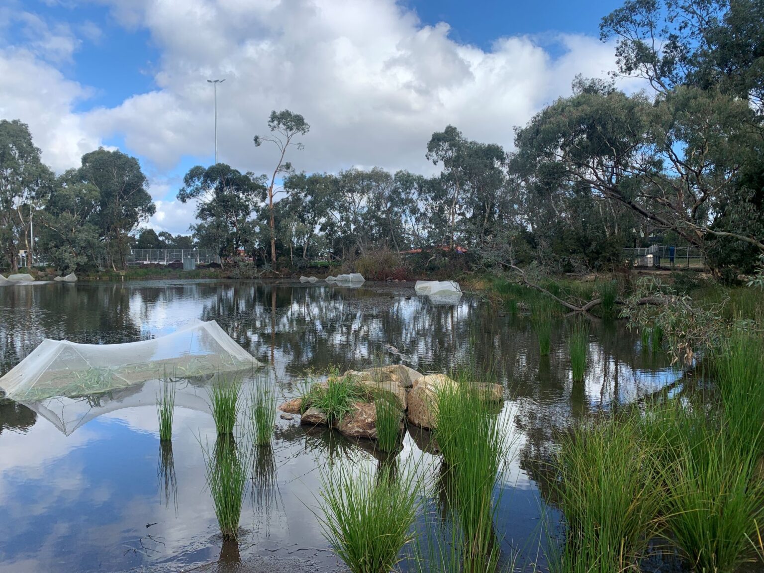 Spiire water engineering project Peter Hopper Lake Revitalisation in Mill Park