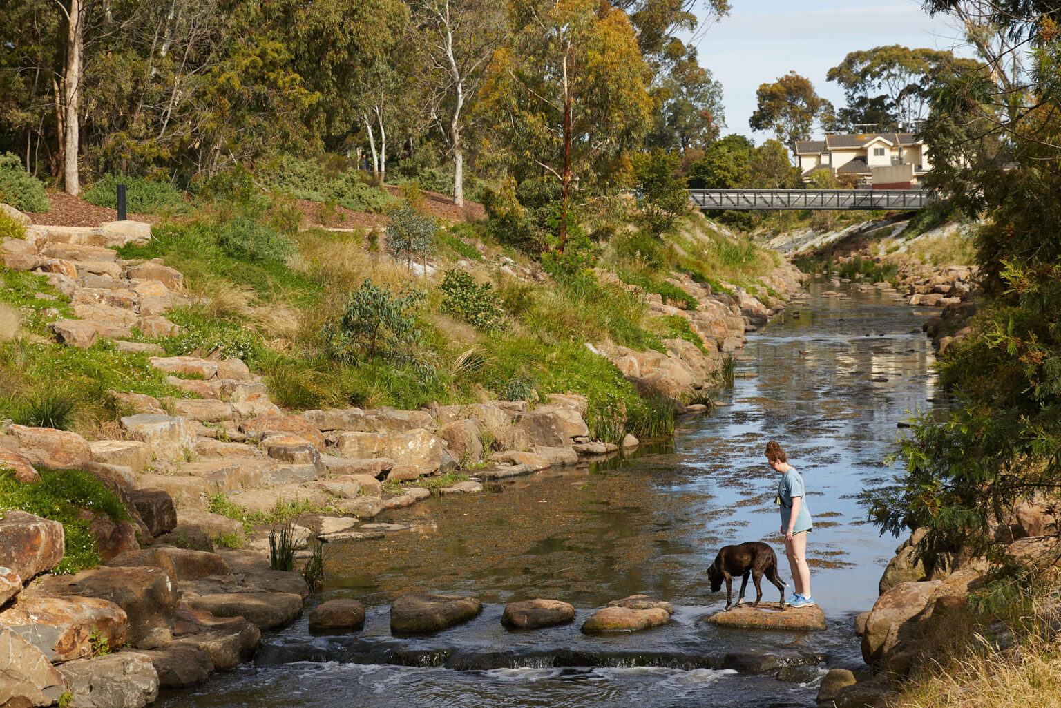 Landscape architecture designed by Spiire at moonee ponds creek