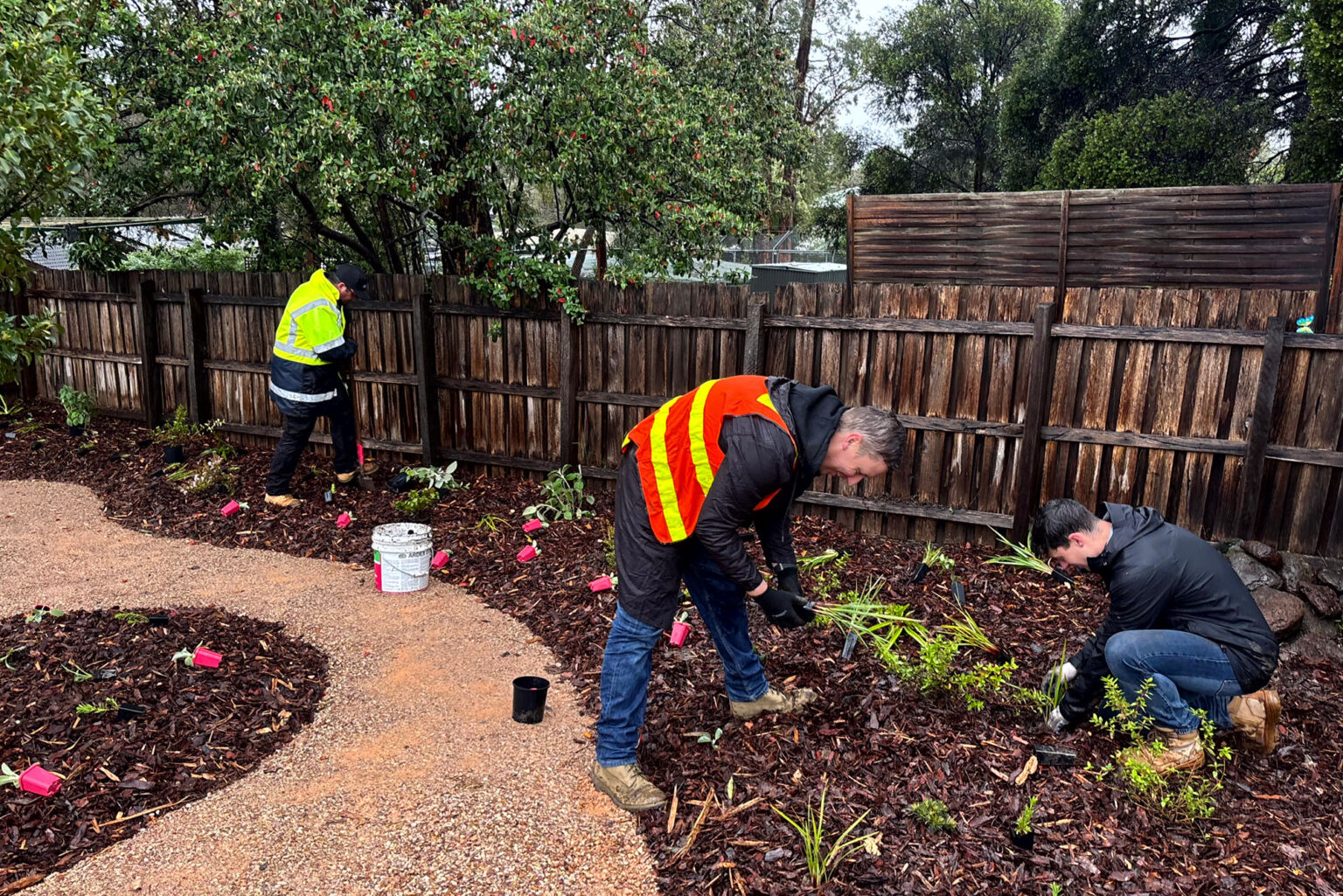 Spiire Landscape Architects plating at Haven House Heathmont